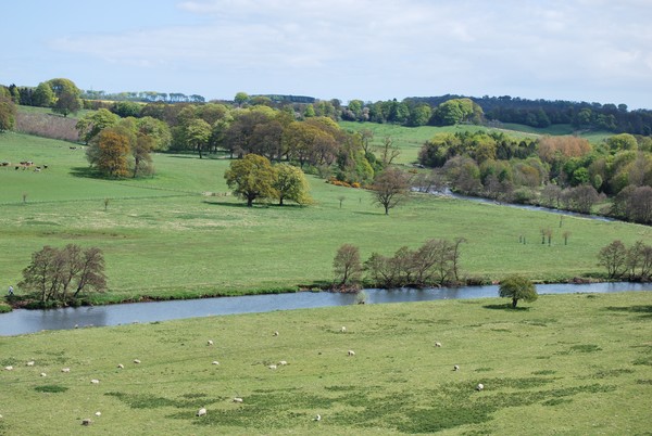 The View from Alnwick Castle