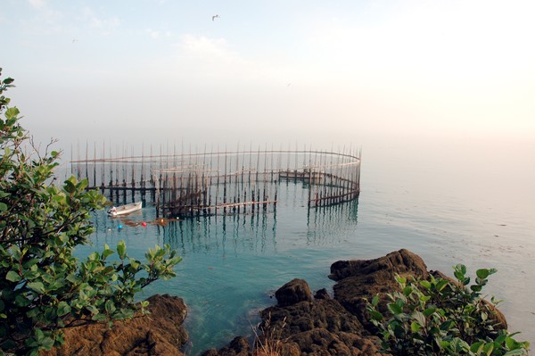 Fish weir