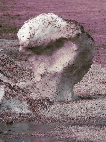 CITY SERIES©2010-NATURAL SCULPTURE