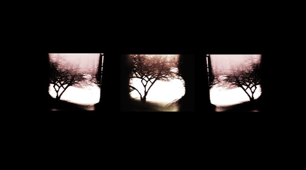 Window View