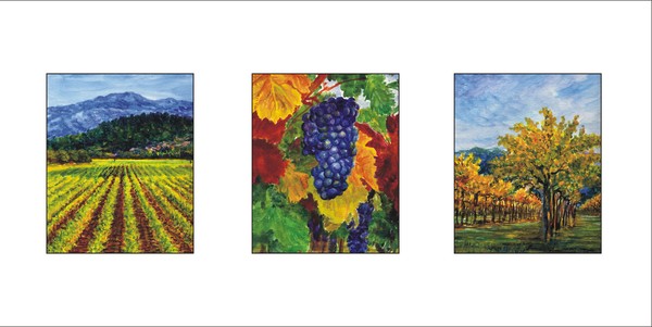 Napa Valley Purples Grapes By Yuriy B.