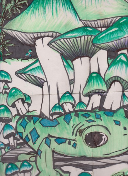 frog in the mushrooms