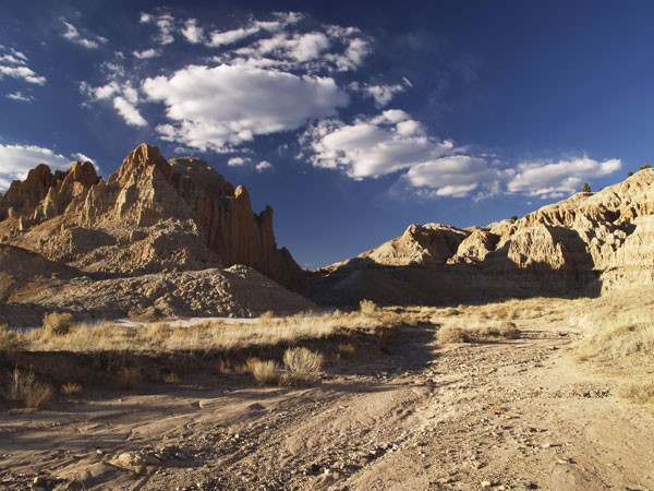 Desert Landscape