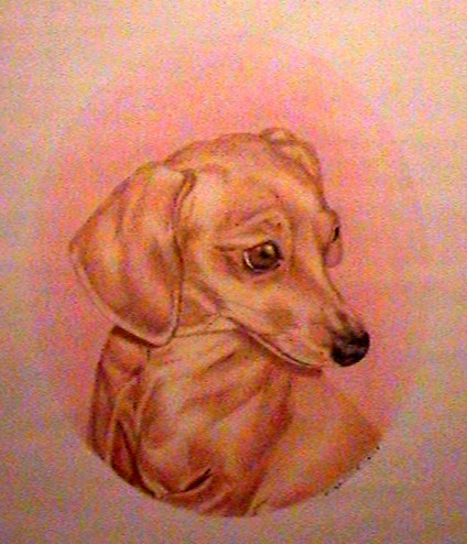 Weiner Dog