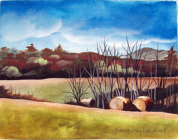 Across The Field