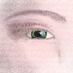 Eye