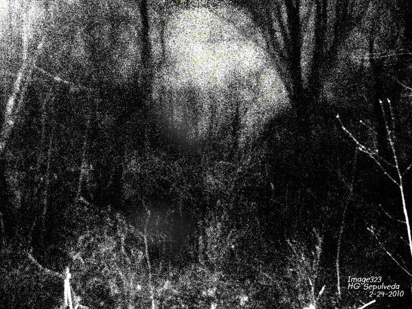 'lostsoul'