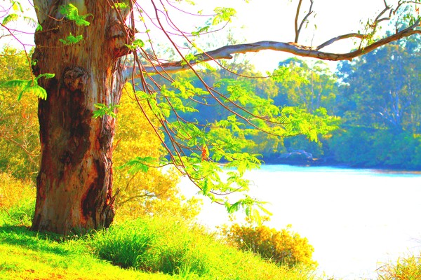 Down By The River