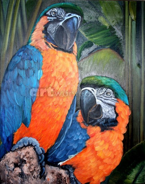 A couple of Parrotts