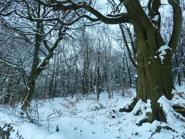 Enticing Path