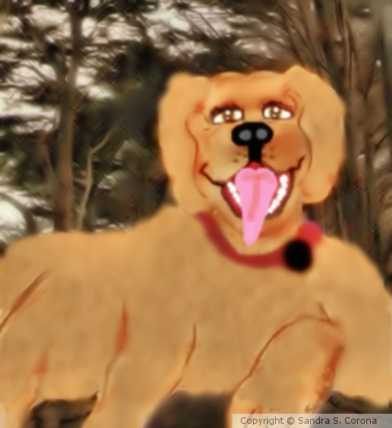 Dog Reposed