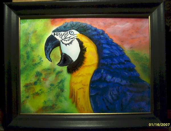 Parrot