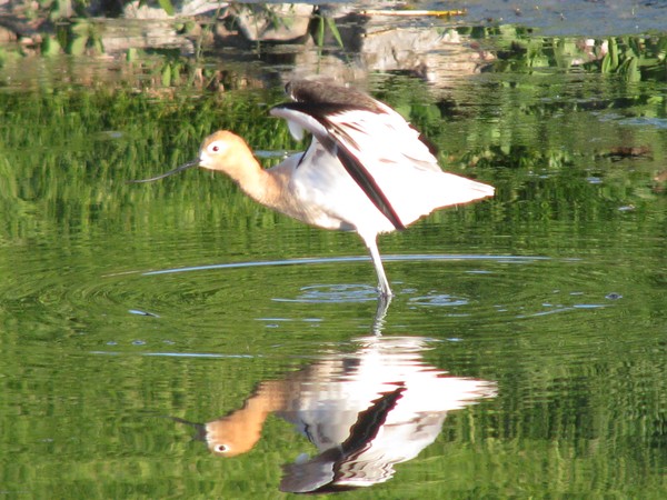 Taking Off