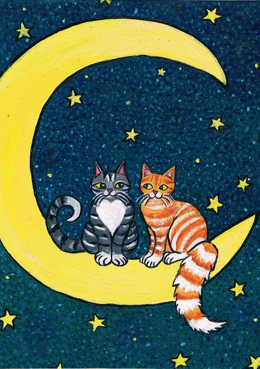 moon kitties