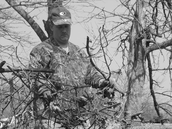 Clearing the Brush Series