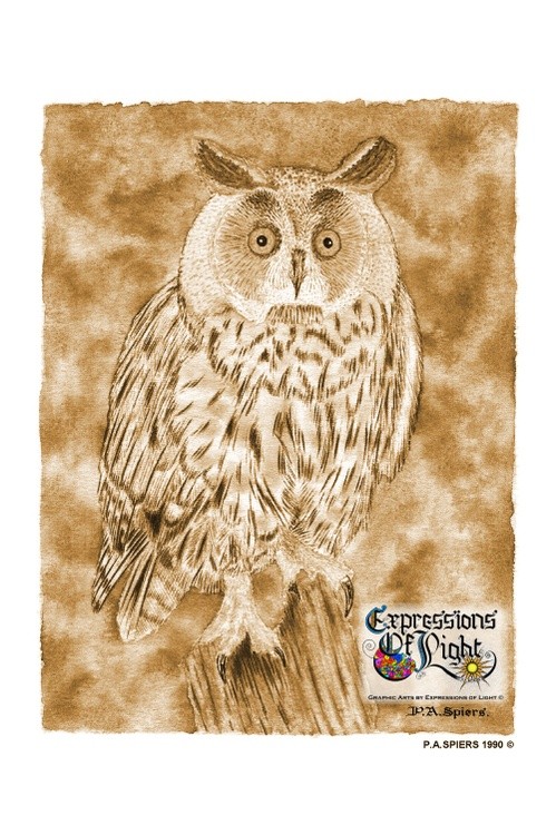 ExpoLight-Graphic-Arts-Owl-1990-0001 (Water-Coloured-Sepia-SP)