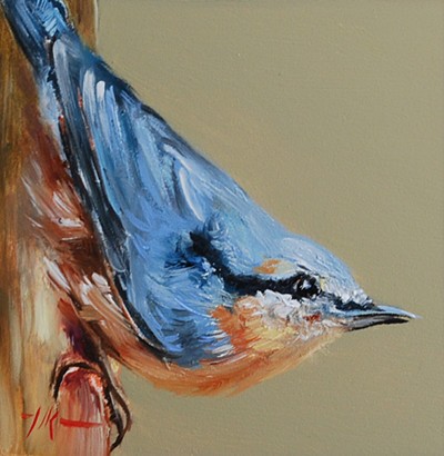 Oil painting nuthatch 	
