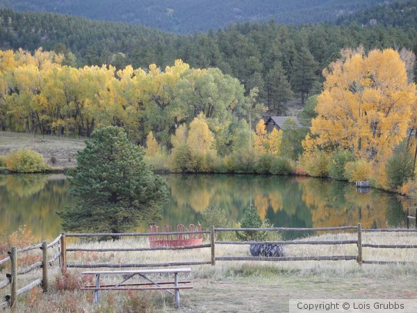 Fall Foilage Sept 2011 My camera 046