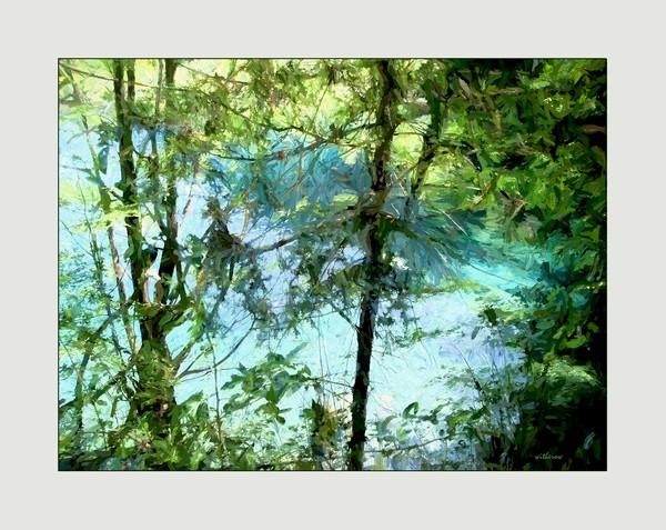 Above  The Stream