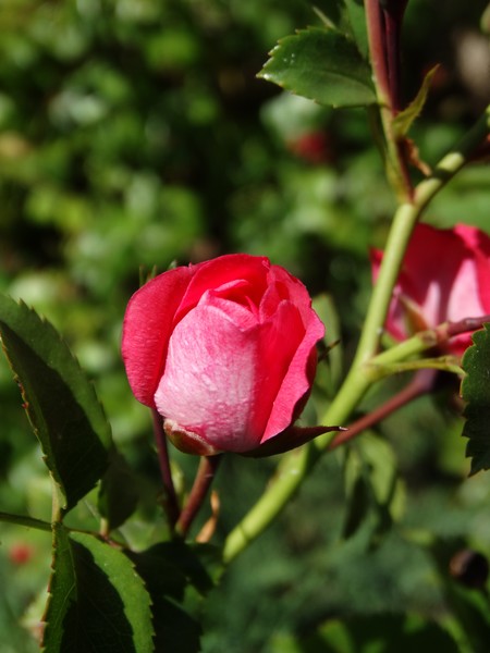 for you,have a nice weekend...