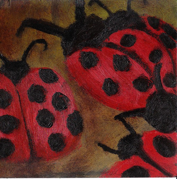Ladybugs 5