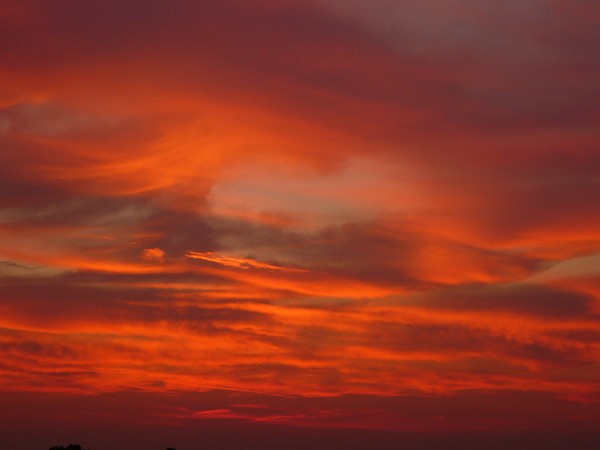 Heart in the Sky