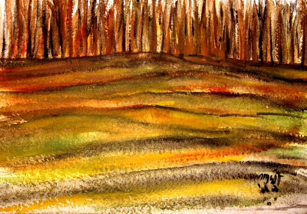 the grassland