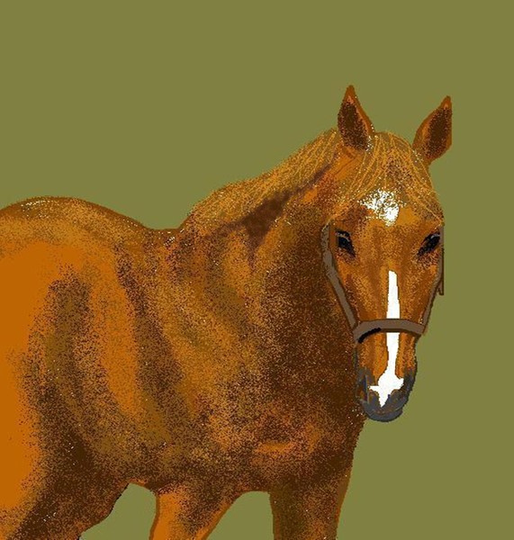 Young Duke