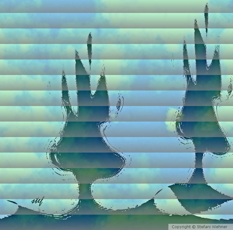 trees behind blind