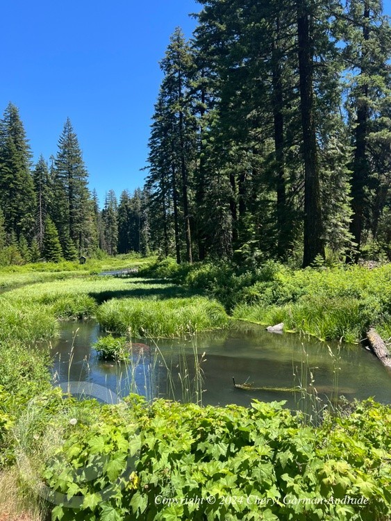 Dead Indian Memorial Road Oregon 