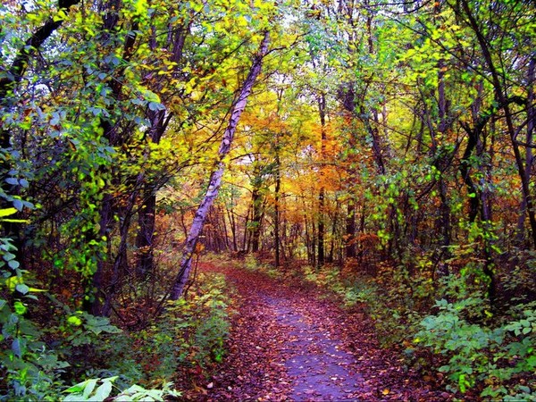 fall is coming