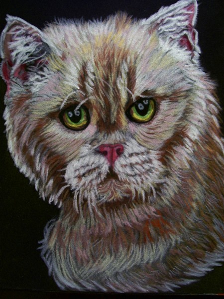 Pastel of Rex cat