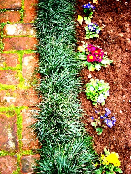 Flowers,green hair lying down in a red brick
