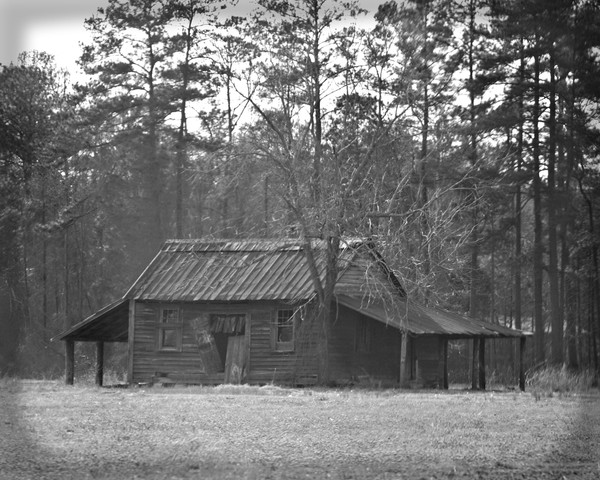 Image3