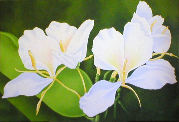 White Ginger