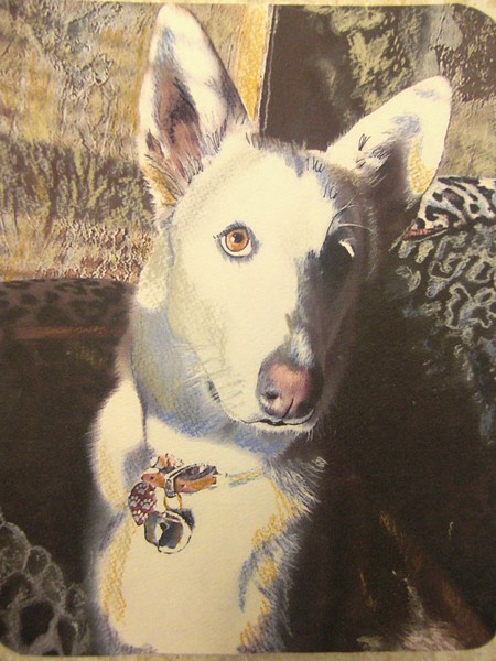 Angel Dog