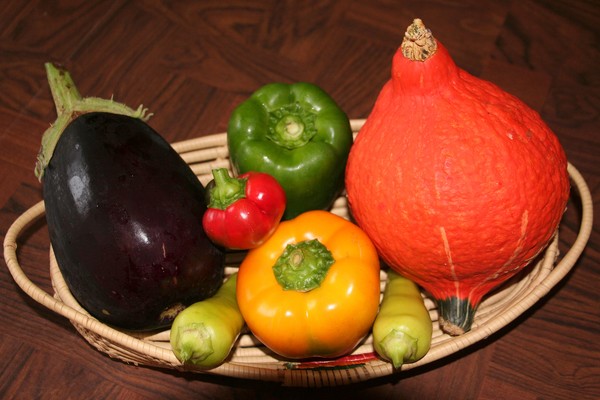 A Basket of Garden Bounty