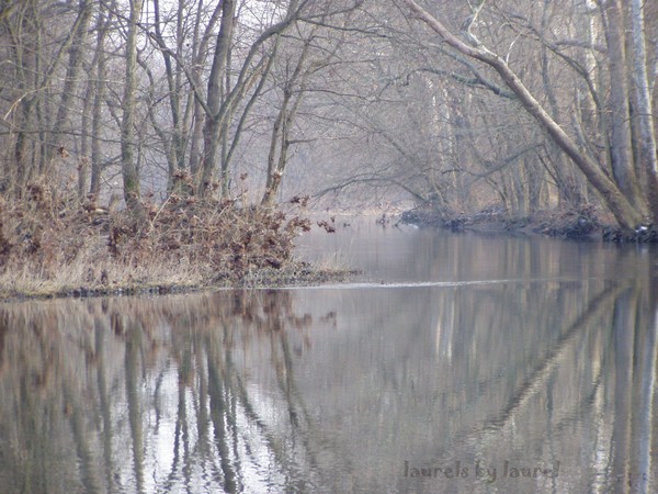 Winter Reflection