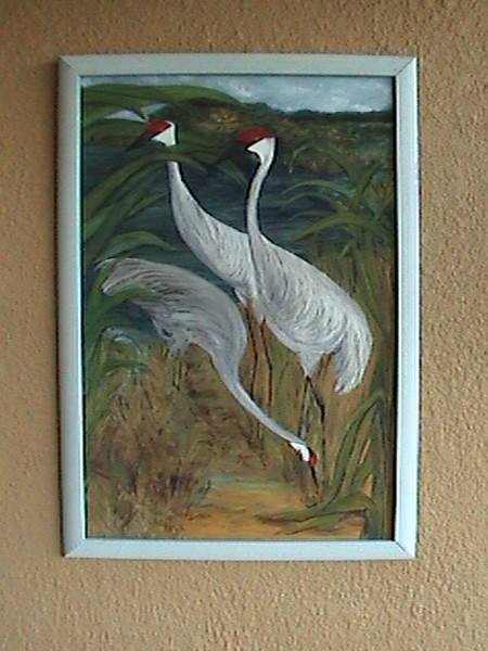 Florida Brids