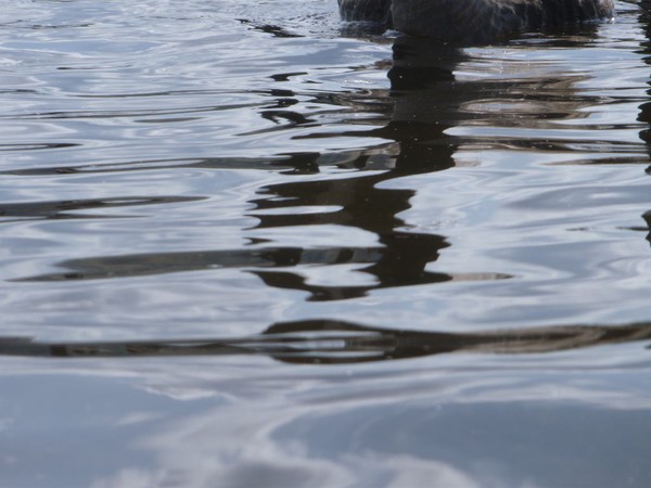 Deep Waters