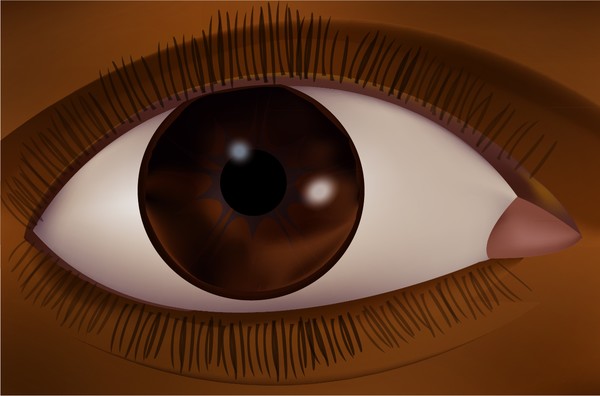 Eye