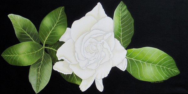 Gardenia Flower