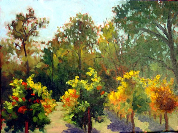 Back Lit Autumn Vines