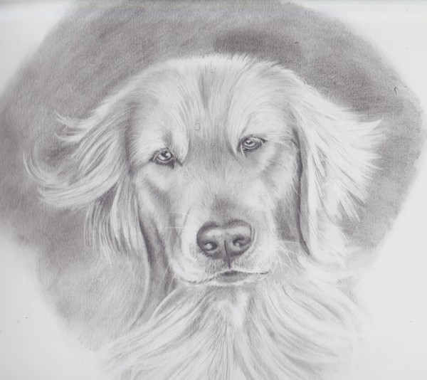 Dog lover