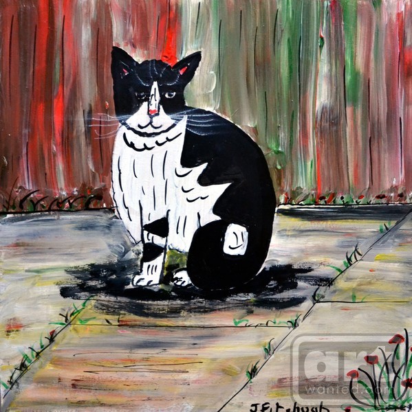 My Garden Cat