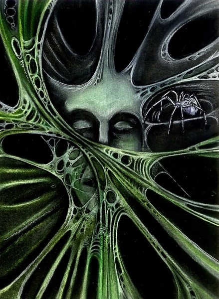 Spider webs green