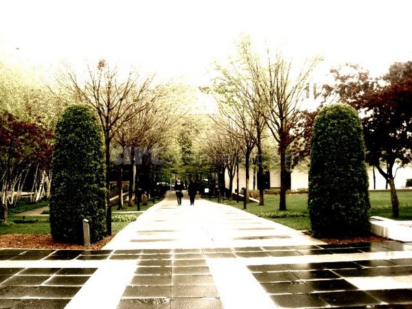 A walk to remember 