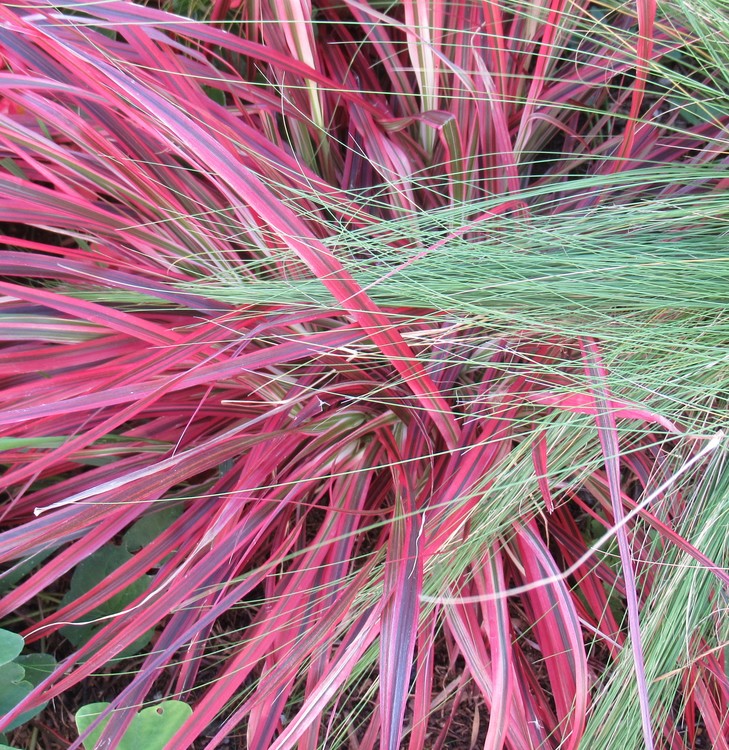 COLOR MIX