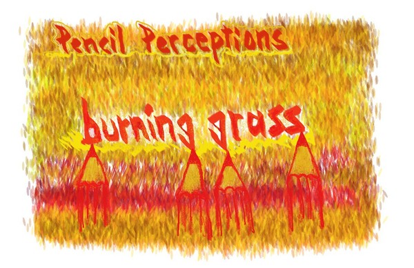 Pencil Perceptions-Burning Grass
