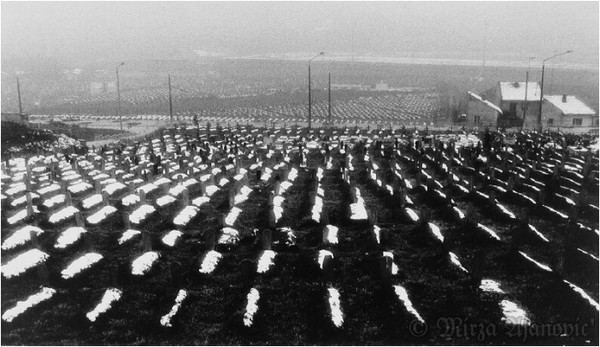 Sea of Dead